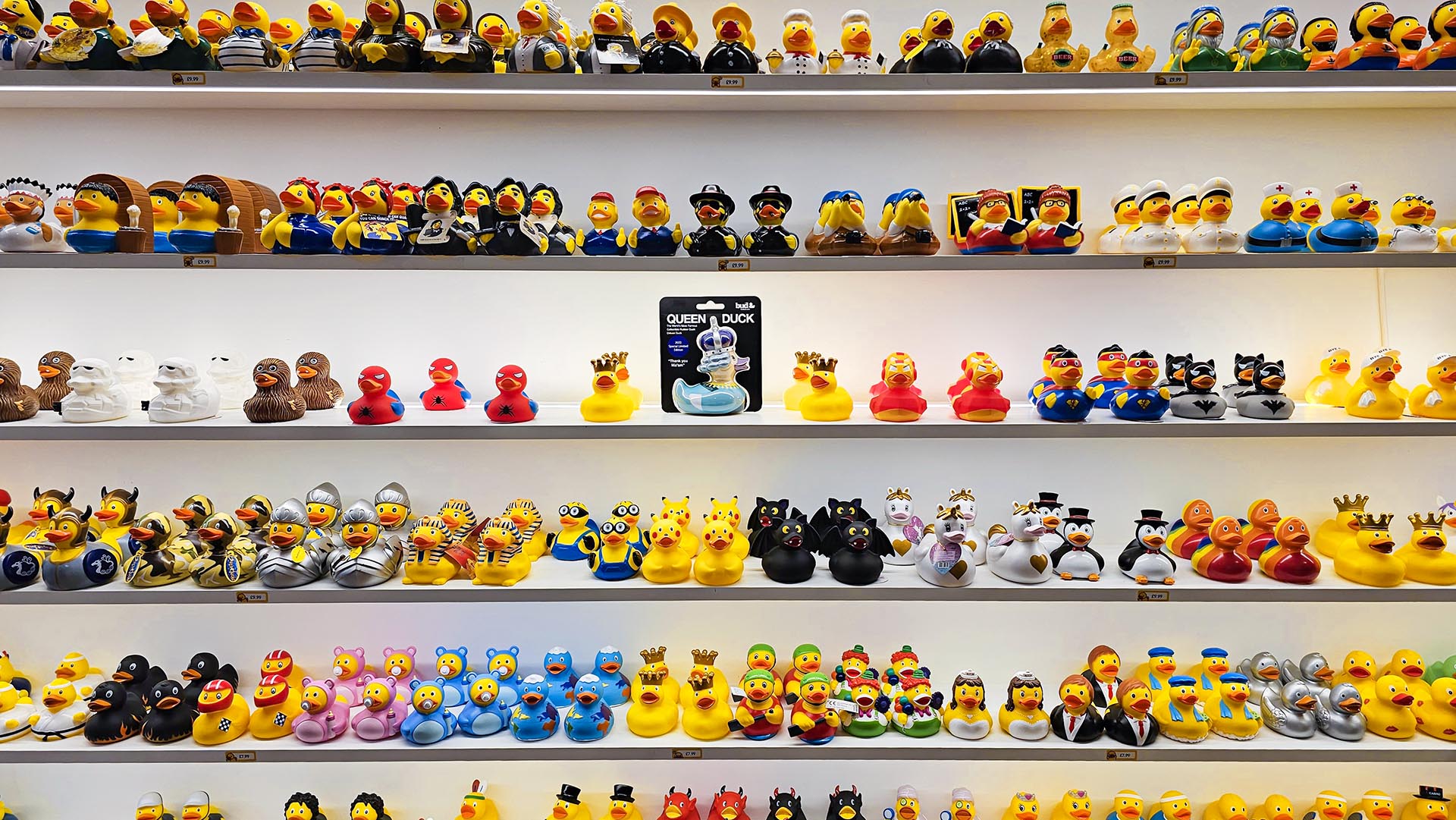 Duck World: New shop in Charing Cross