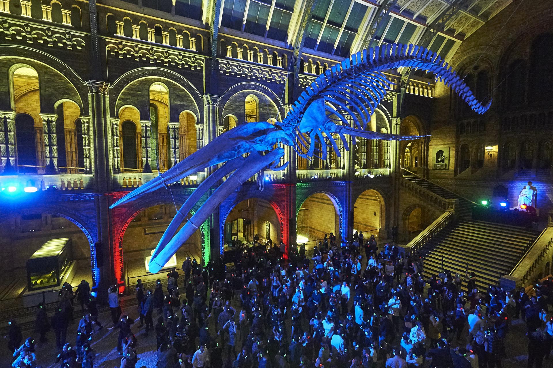 Silent disco at The Natural History Museum